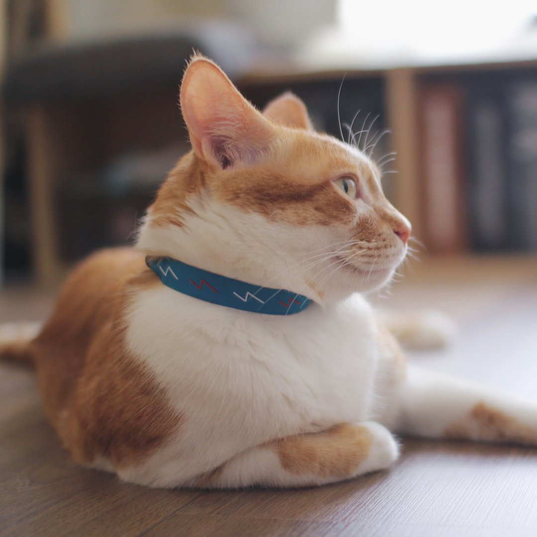 蓝x灰 闪电线 轻巧简易 可调整 安全扣 猫项圈 交换礼物 - 项圈/牵绳 - 绣线 蓝色
