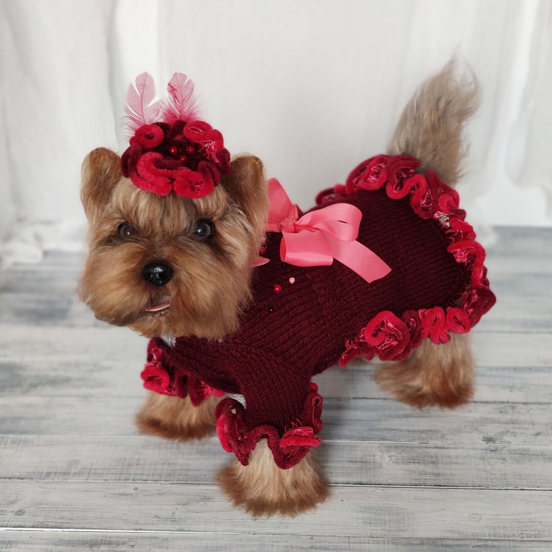 Burgundy handmade ruffled dog dress Butterfly knit dress for small dog with bow - 衣/帽 - 压克力 