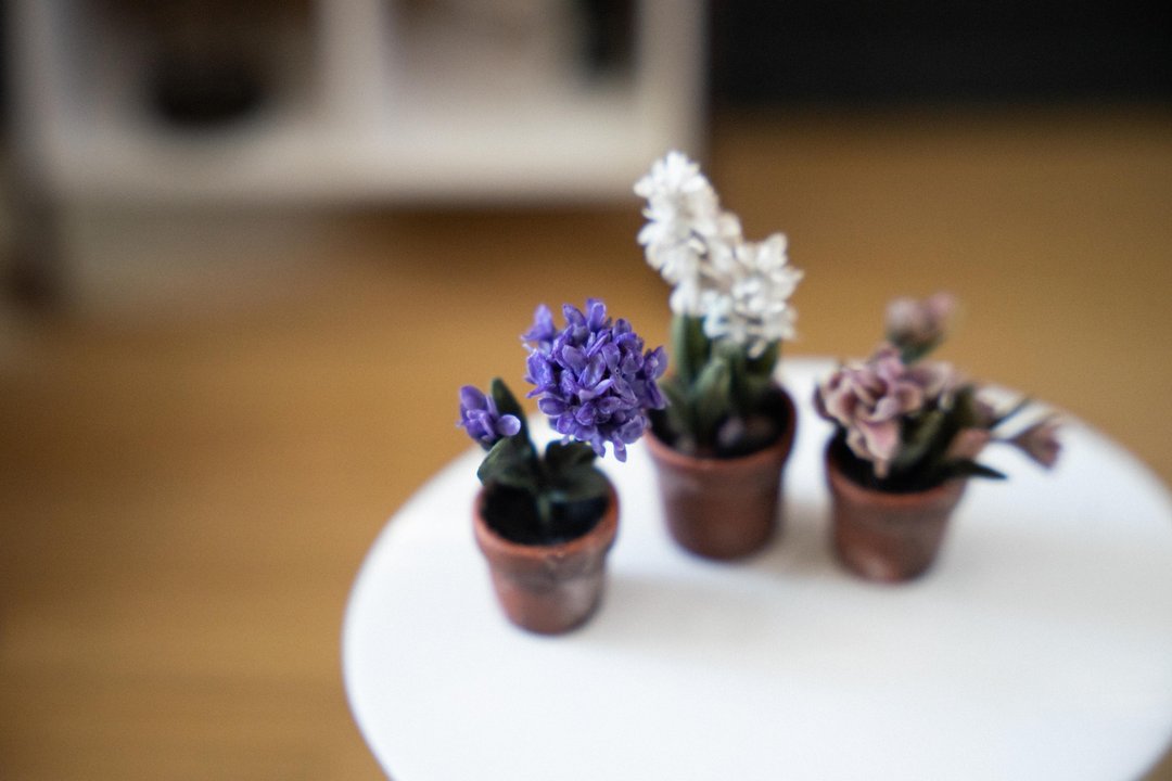 Set of 3 miniature flowers for Blythe and Barbie dolls in 1/6 scale. Doll garden - 玩偶/公仔 - 其他材质 多色