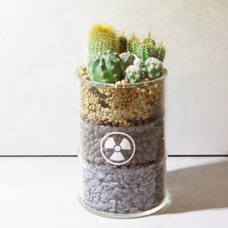 微景设计-讽核杯(仙人掌科肉肉) - 植栽/盆栽 - 玻璃 绿色