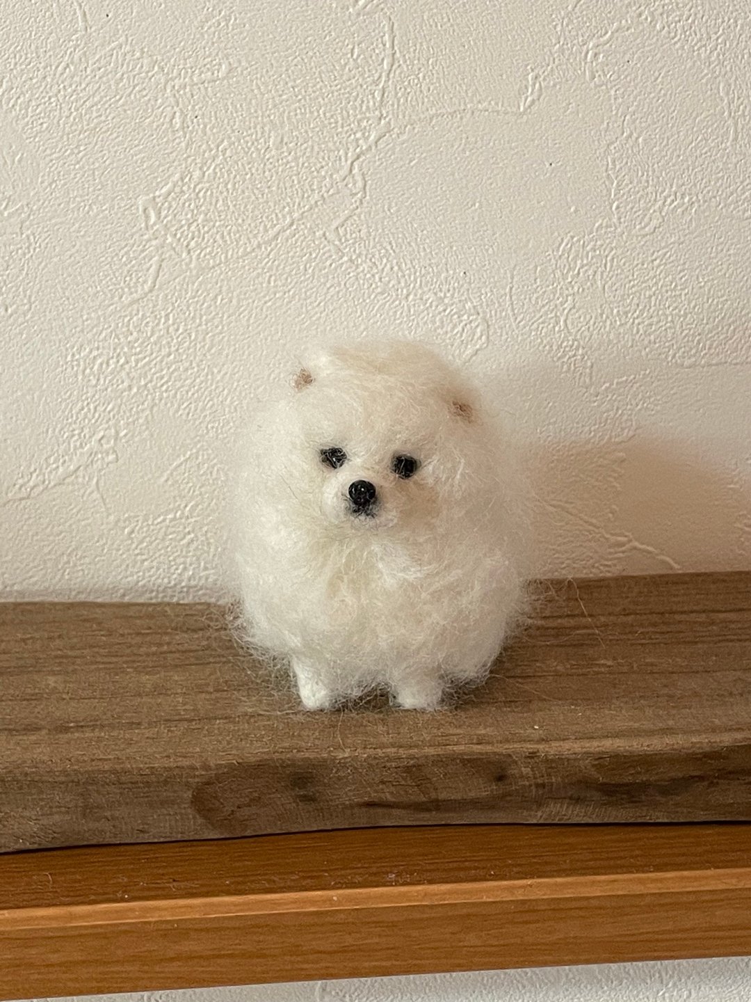 pomeranian - 编织/刺绣/羊毛毡/裁缝 - 羊毛 白色