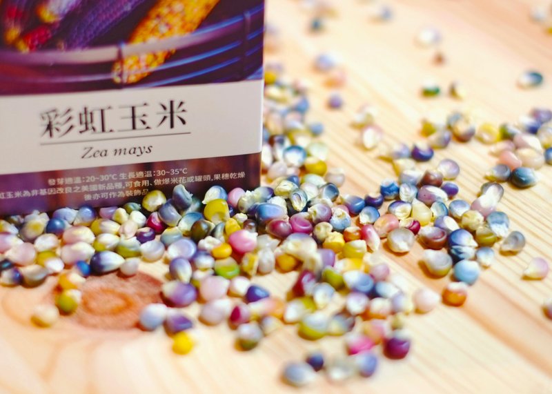 彩虹玉米/栽培组合 - 植栽/盆栽 - 植物．花 黄色