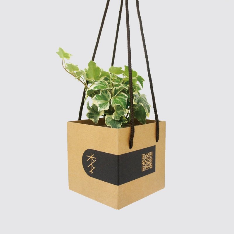 │ 居家小物│ 送礼手提礼盒 - 植物提盒 防撞礼盒 - 其他 - 纸 