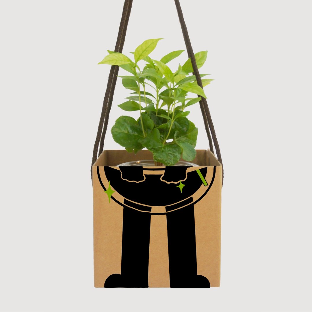 │ 居家小物│ 送礼手提礼盒 - 植物提盒 防撞礼盒 提袋 - 其他 - 纸 
