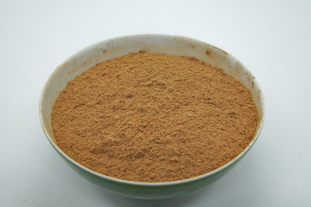酽韵逸品【高级黏粉(楠木粉)】 - 植栽 - 植物．花 咖啡色