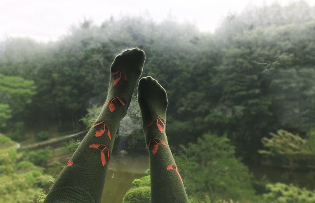 socks_rich_garden / irregular / socks / green / butterfly - 袜子 - 棉 绿色