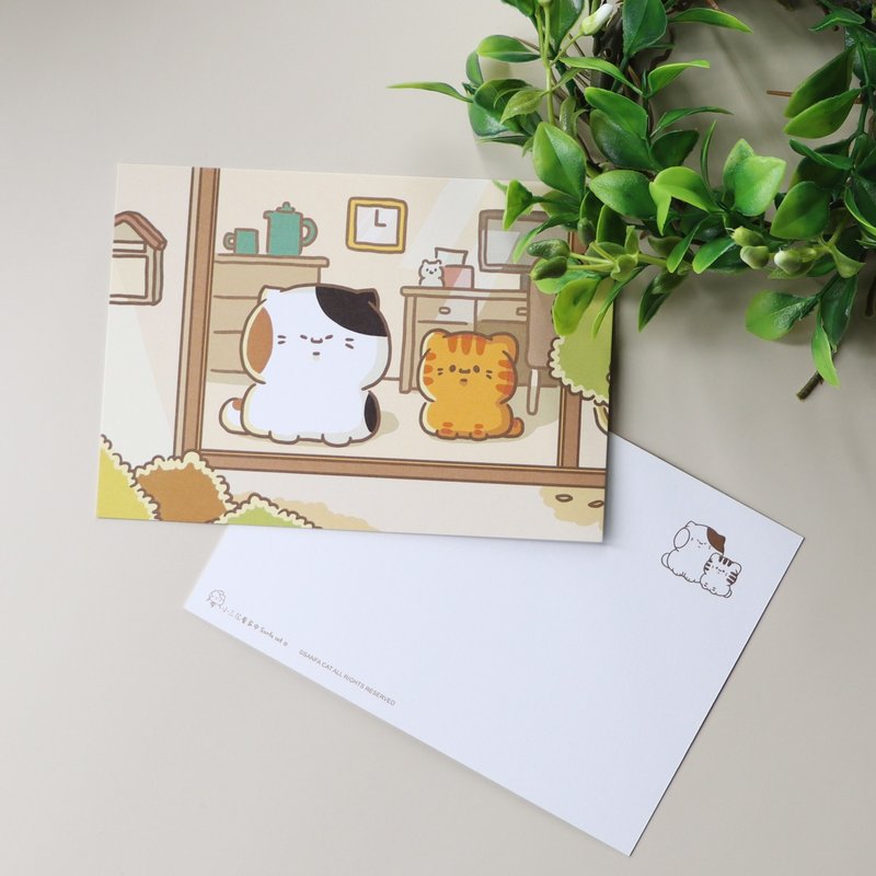 典藏明信片-猫猫看家中│小三花看家中Sanfa cat│猫咪明信片 - 卡片/明信片 - 纸 白色