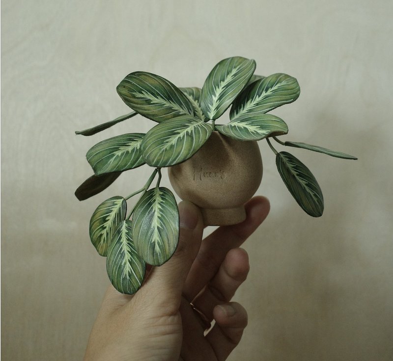 绿豹纹竹芋 绝版作品 仅此一件 - 摆饰 - 真皮 
