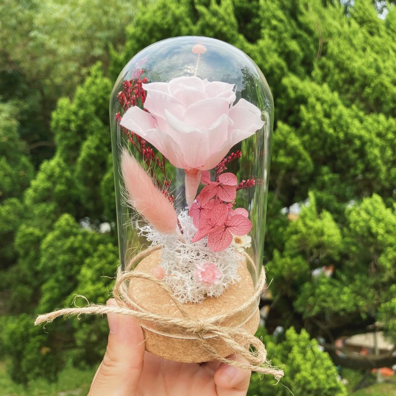 浪漫永生玫瑰钟罩 七夕情人节/情人节礼物/纪念礼物/母亲节/生日 - 干燥花/捧花 - 植物．花 多色