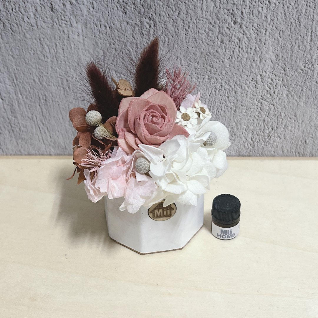 索拉花香氛小盆花 干燥花 香氛石 附1ml香精油 - 干燥花/捧花 - 植物．花 粉红色