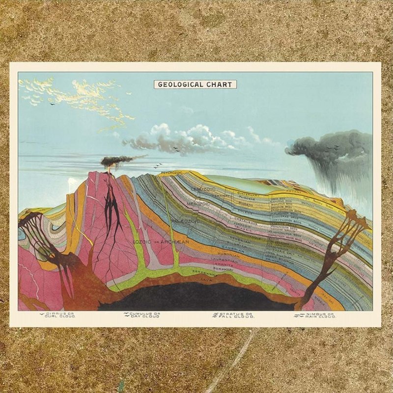 Cavallini & Co.  海报\包装纸 图表系列(多款) - 海报/装饰画/版画 - 纸 多色