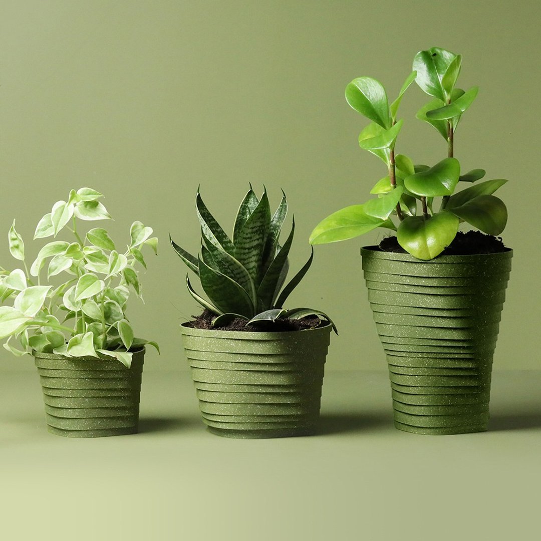 【新年送礼】QUALY 岩层-免浇水花器 - 花瓶/陶器 - 塑料 