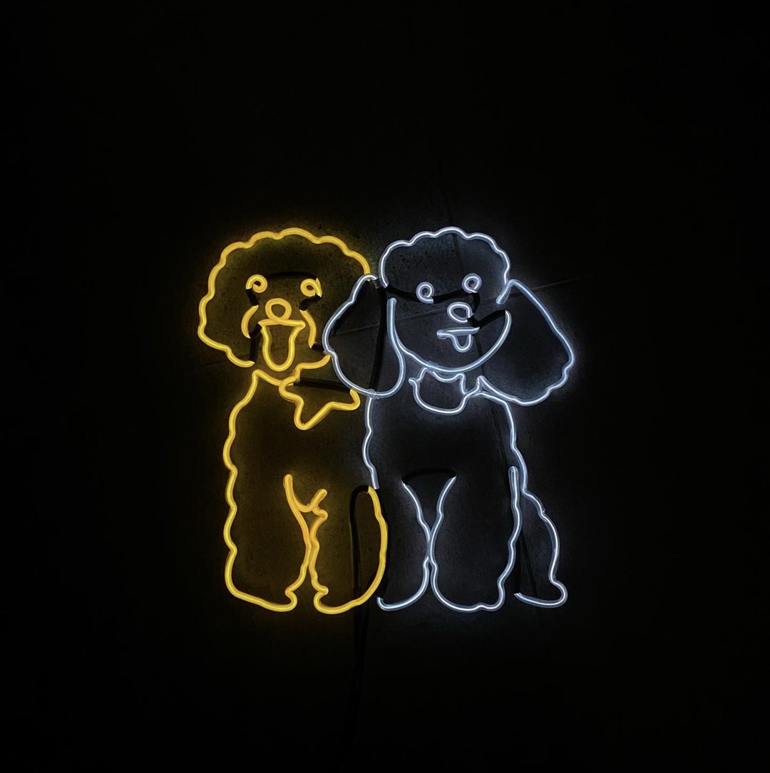 neonlite 定制霓虹文字图案灯 /狗狗合照/ - 灯具/灯饰 - 塑料 黄色