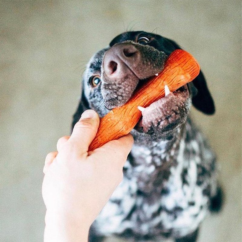 洁牙骨   BBQ史迪克 (小中大型犬 / 4尺寸)  宠物玩具 - 玩具 - 其他材质 