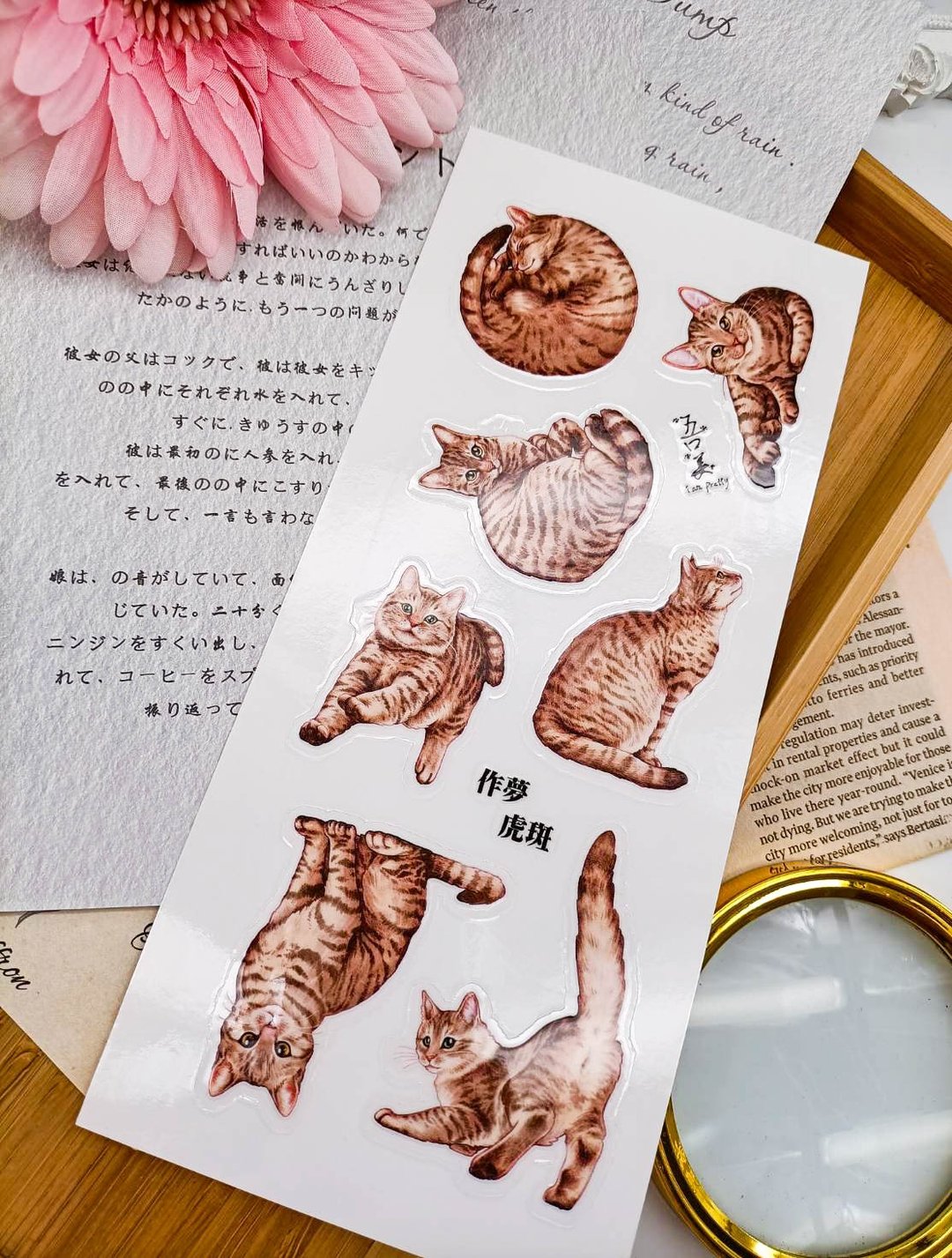 5K061_五口美 _作夢虎斑_Tabby Cat B/轉印貼紙 - 贴纸 - 其他材质 多色
