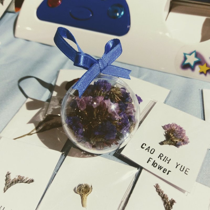 客制化 星辰花 干燥花小卡片30张 - 卡片/明信片 - 植物．花 紫色