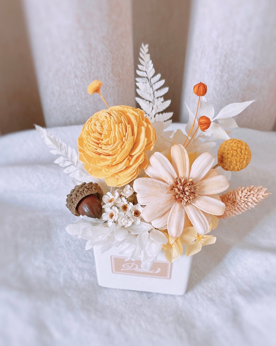 扩香盆花-清新雏菊 l 干燥花盆花 干燥花 扩香花 开幕花礼 乔迁 - 干燥花/捧花 - 植物．花 黄色