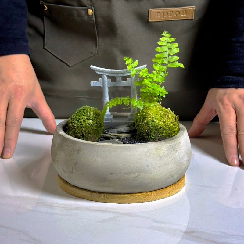 自然苔玉美学 – 静径 - 植栽/盆栽 - 植物．花 