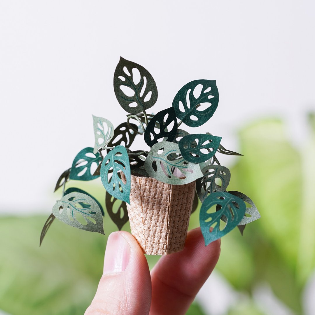 【纸植栽 DIY材料包 S】 洞洞蔓绿绒 | 9028403 纸风景 - 木工/竹艺/纸艺 - 纸 绿色