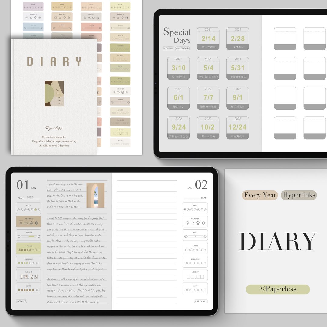 每年适用365天全年日记电子手账iPad Goodnotes Notability模板 - 其他数码商品 - 其他材质 