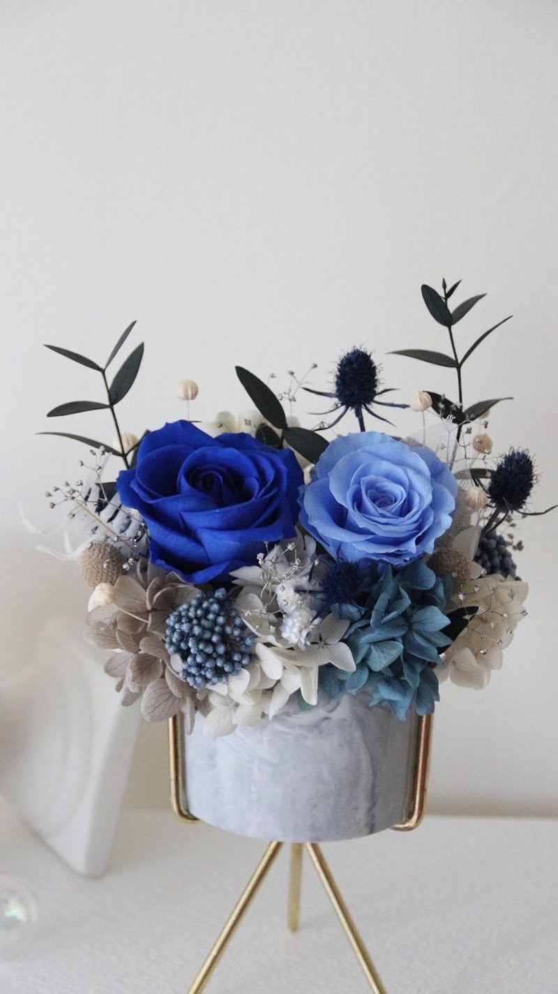 【永生花礼】永生花盆栽 开幕贺礼 干燥花 干燥花桌花 永生玫瑰 - 干燥花/捧花 - 瓷 蓝色