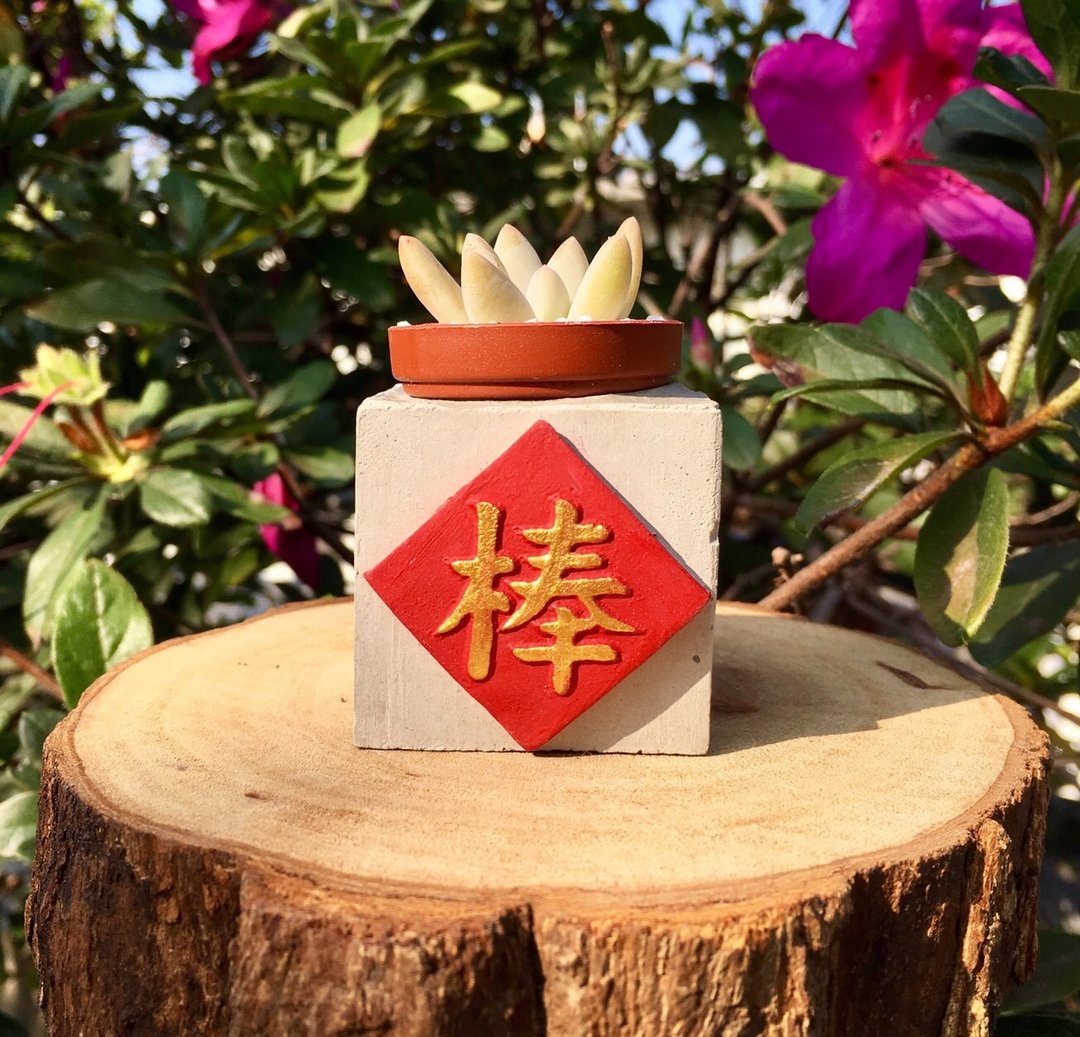 棒 红通通!!新年磁铁盆栽 送多肉 - 植栽/盆栽 - 水泥 红色