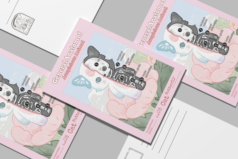 猫蝶解剖图明信片 - 卡片/明信片 - 纸 粉红色