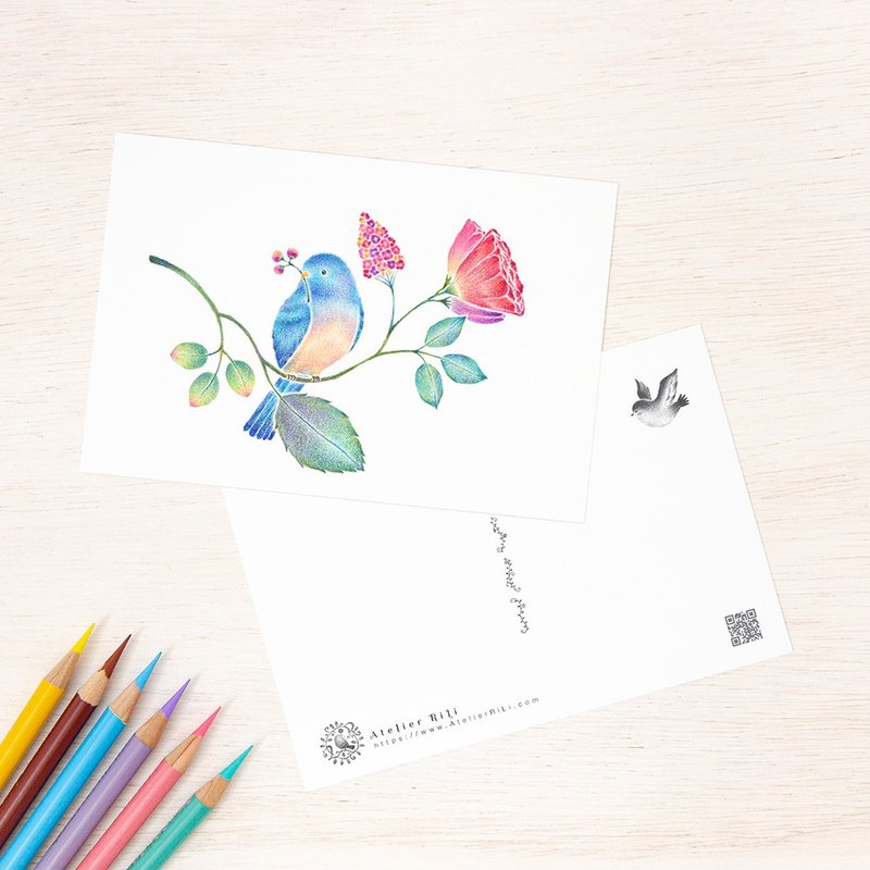 5枚セット。絵本のような。ポストカード "青い小鳥と草花" PC-512 - 卡片/明信片 - 纸 蓝色
