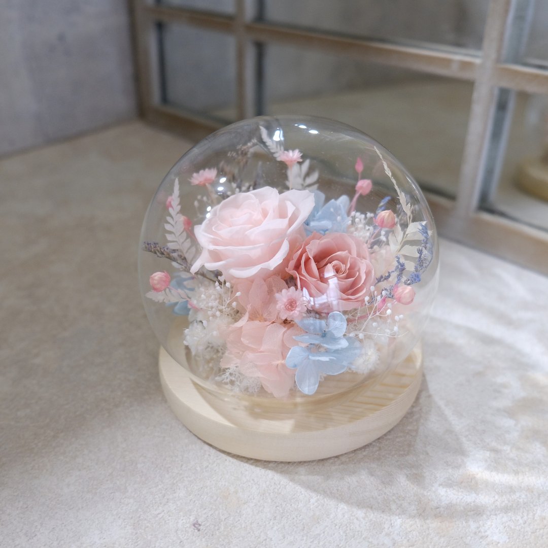 玻璃钟罩/粉红色/粉蓝色/永生花/不凋花/干燥花/情人节/少女/浪漫 - 植栽/盆栽 - 植物．花 粉红色
