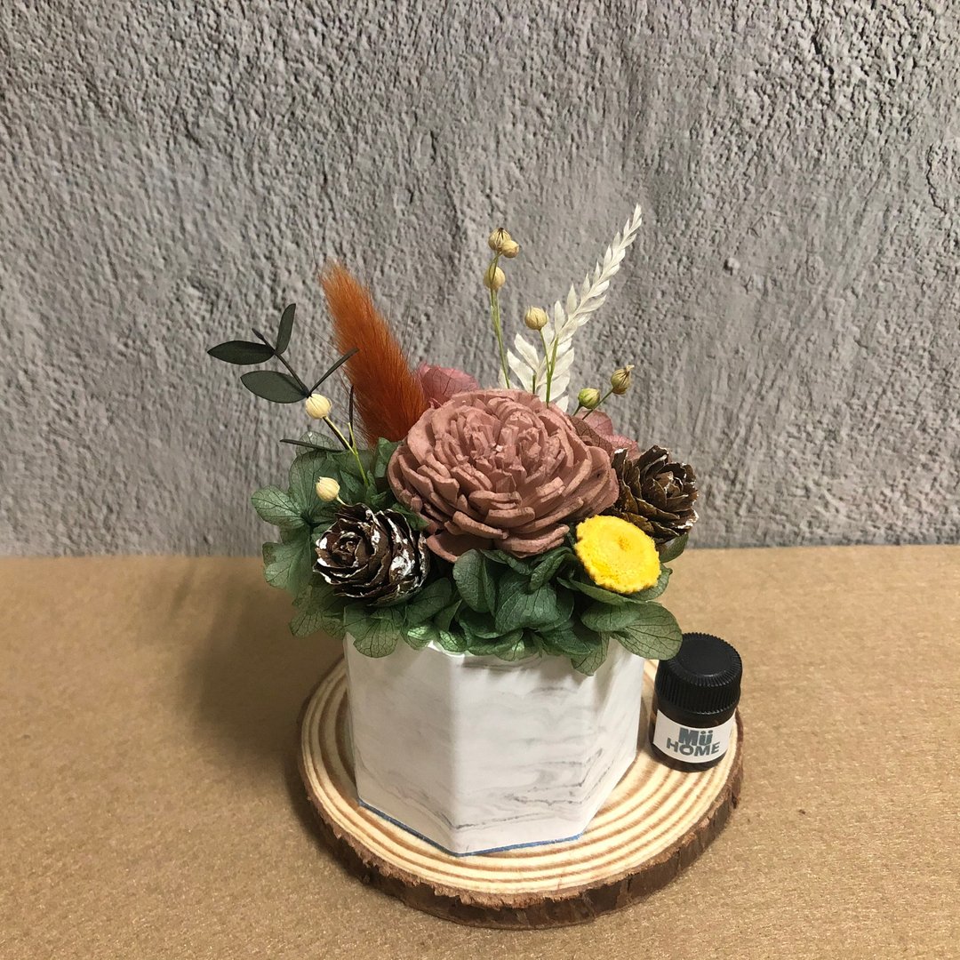 索拉花香氛小盆栽 干燥花 附1.5ml香精油 扩香石 - 干燥花/捧花 - 植物．花 橘色