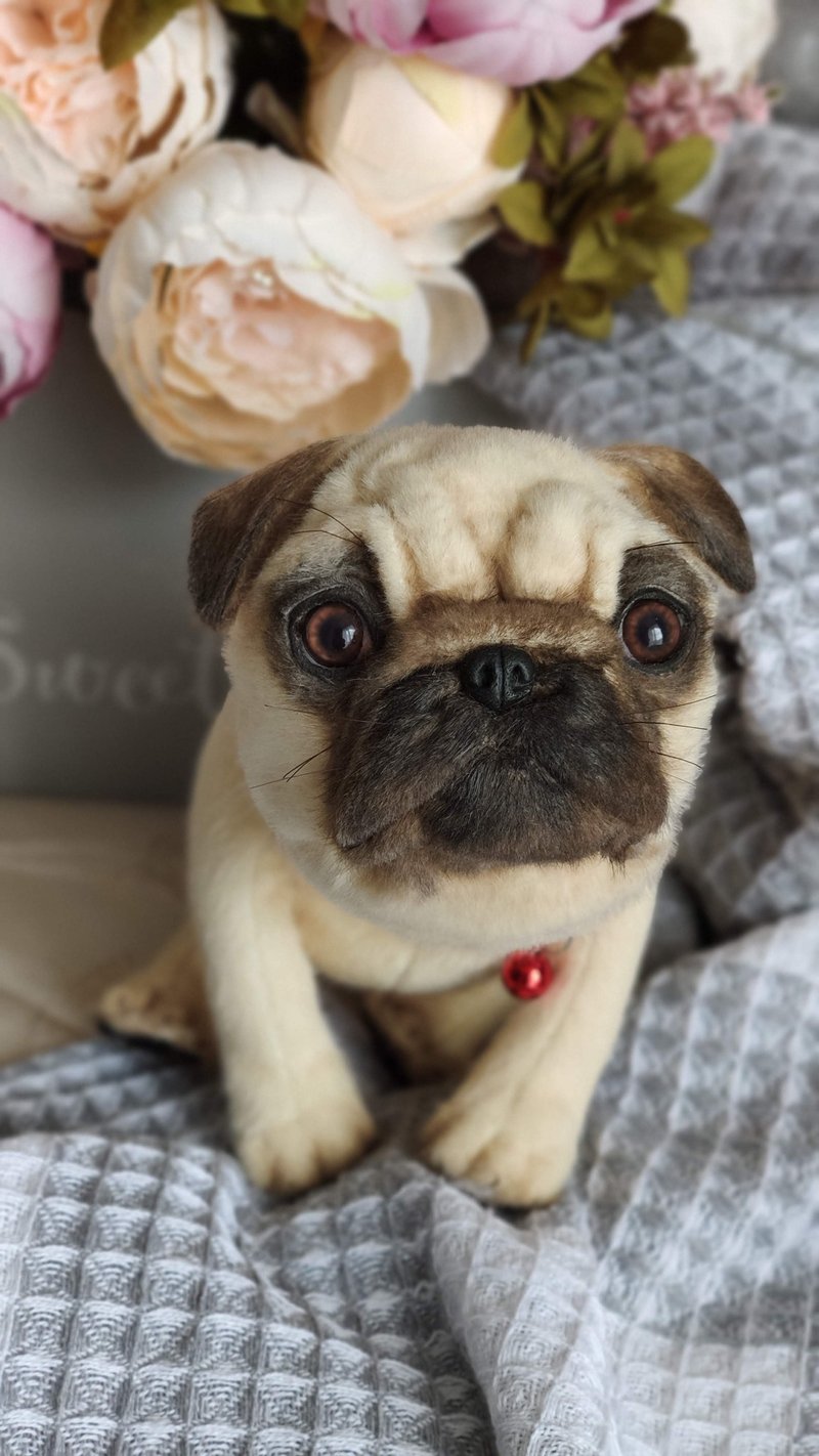Pug puppy, realistic plush toy - 玩偶/公仔 - 其他材质 咖啡色