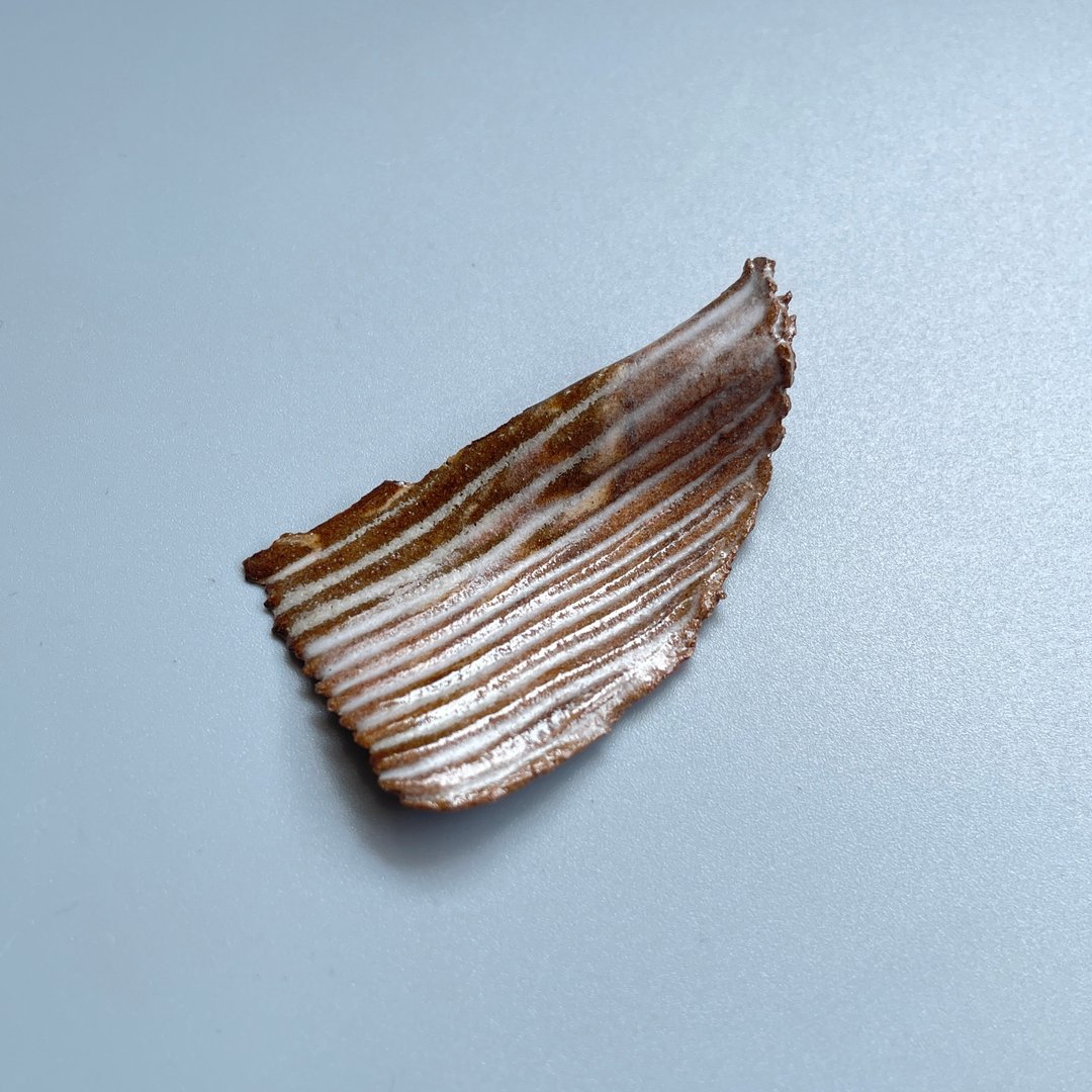 @studio_florero 陶片 茶针置 | 匙置 - 茶具/茶杯 - 陶 咖啡色