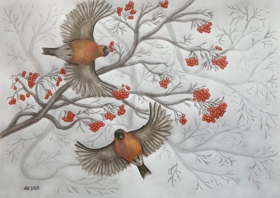 冬季鸟类水彩画，红腹灰雀艺术，家居设计，罗文莓 - 墙贴/壁贴 - 其他材质 白色