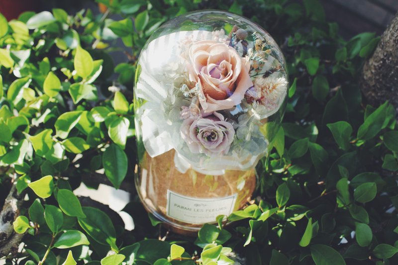 花伴/软木塞玻璃罩/不凋花/干燥花/迷你花束/摆饰/莫兰迪色 - 干燥花/捧花 - 玻璃 