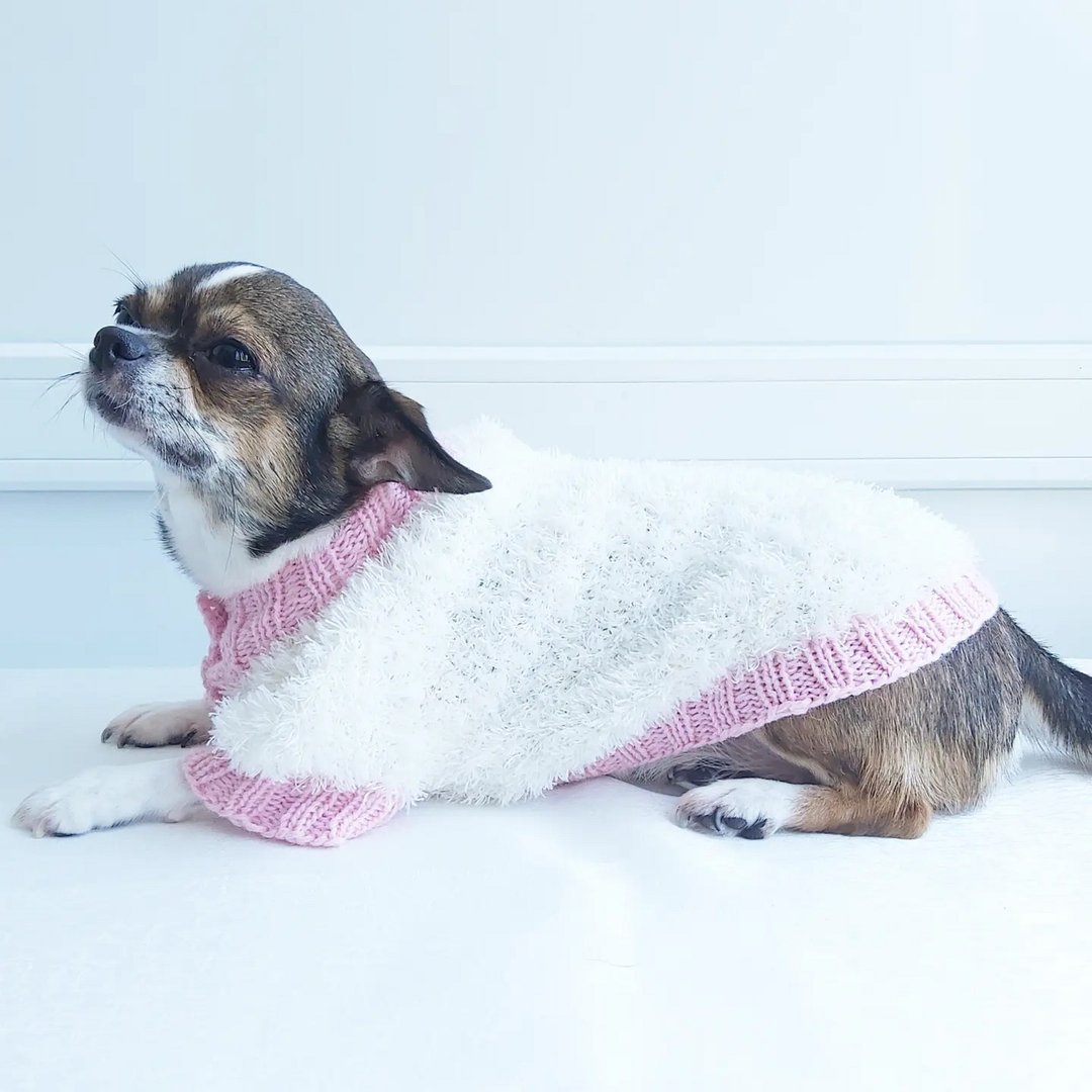 Dog sweater for Chihuahua or other small dogs. - 衣/帽 - 羊毛 白色
