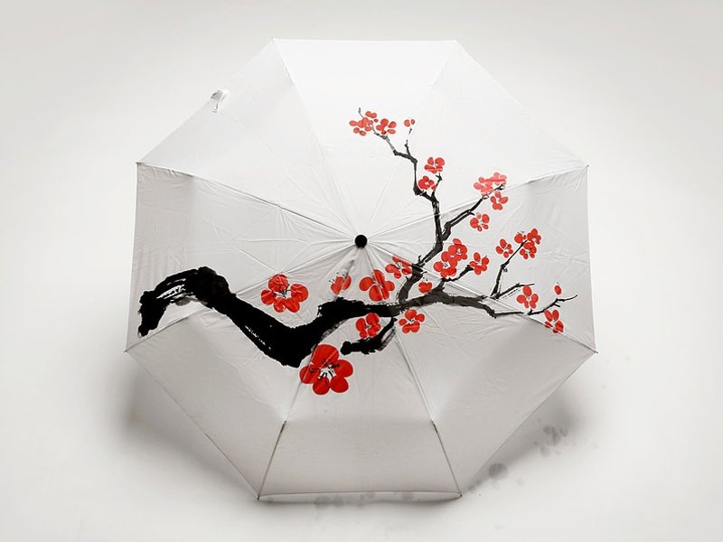 Raindom 樱花变色雨伞 - 雨伞/雨衣 - 防水材质 白色