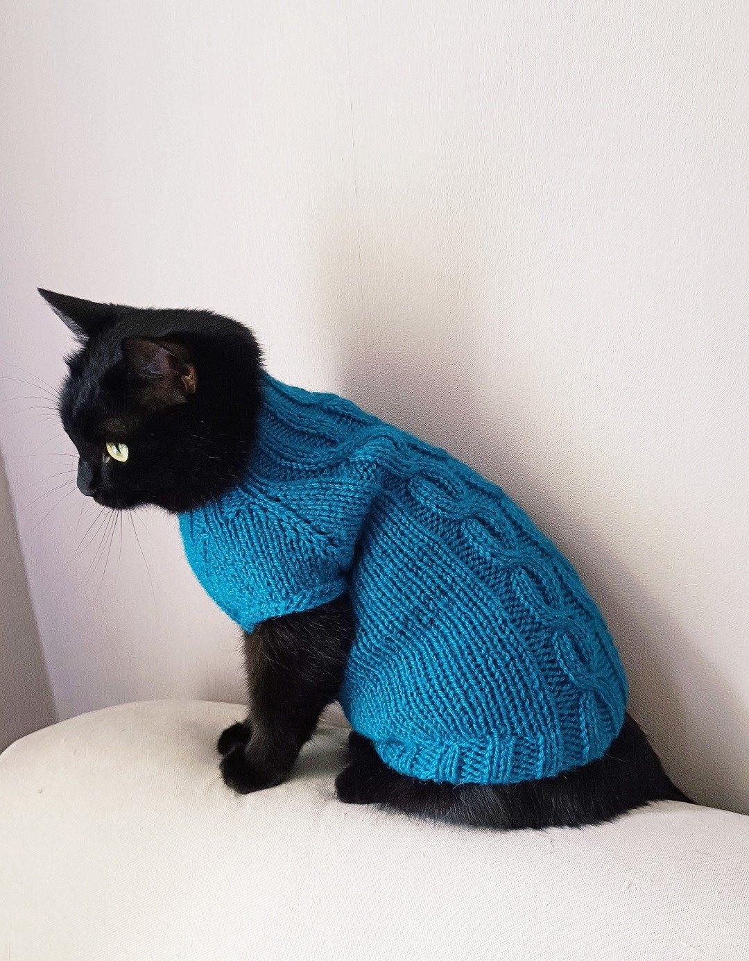 Cat jumper Cat sweater Clothes for pets Cats clothes Pet outfit Pet clothes - 衣/帽 - 羊毛 