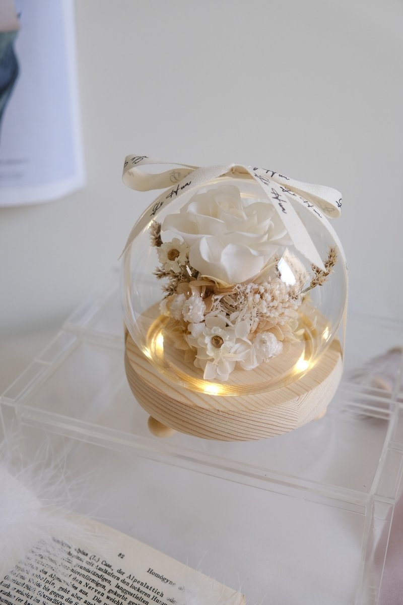 (灯款) 古董白-永生花玻璃花球 - 干燥花/捧花 - 植物．花 白色