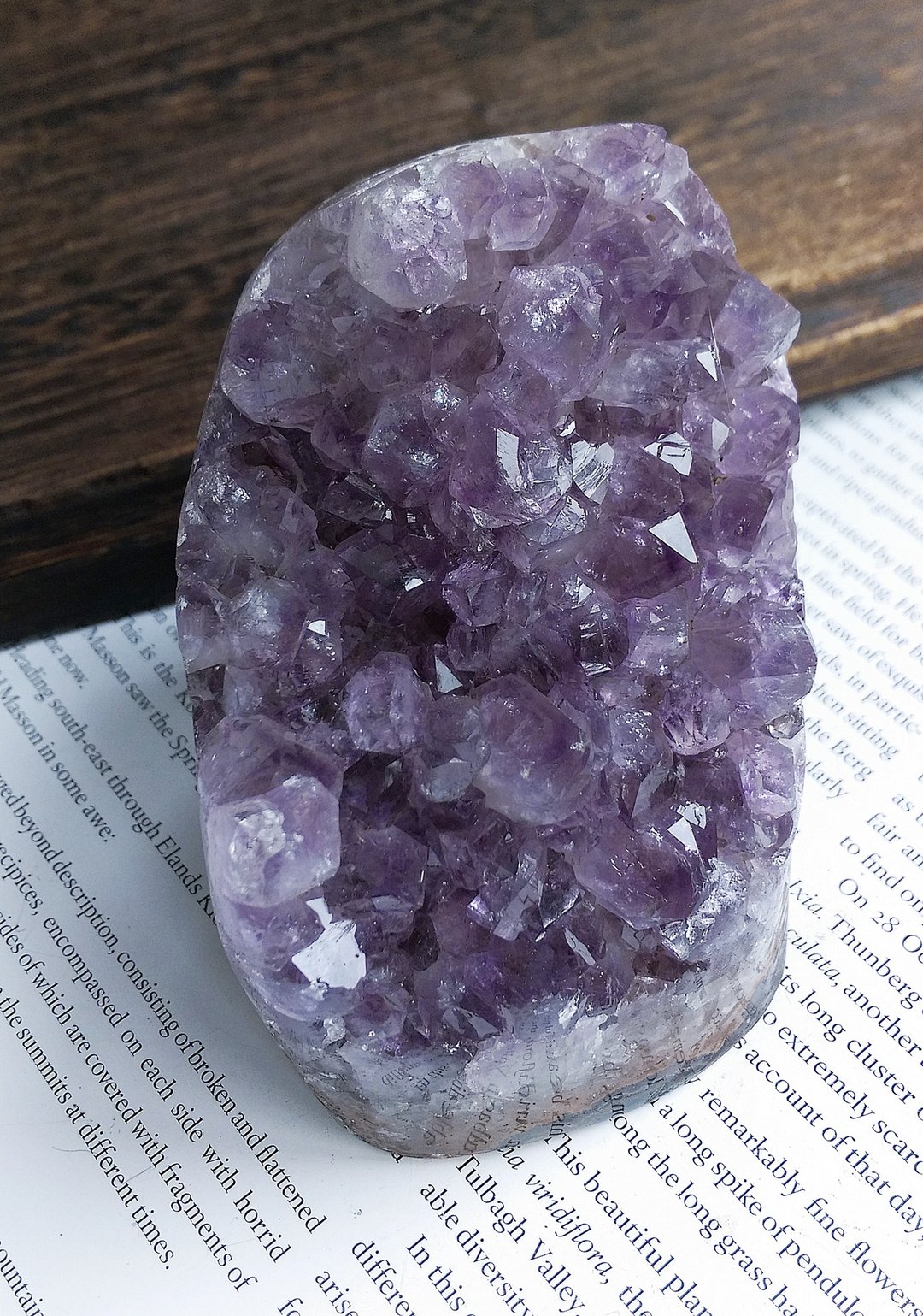 Amethyst  乌拉圭产地 原皮紫水晶  紫水晶晶镇 天然矿石 原矿 - 摆饰 - 其他材质 