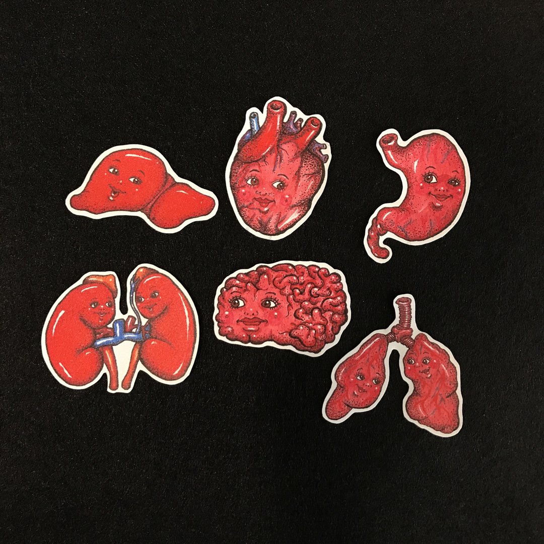 人体奥秘之内脏好友贴纸组 6入 - 贴纸 - 纸 