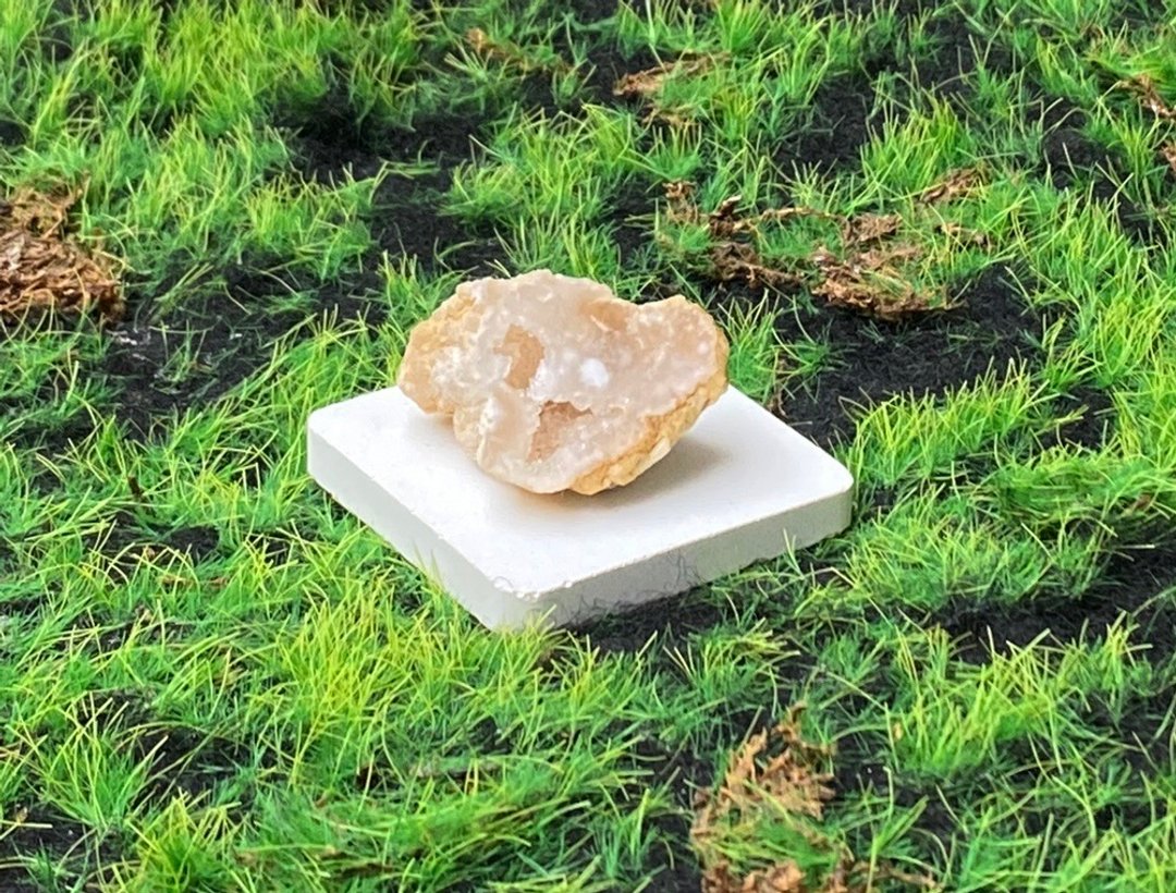 招财开运8 可爱贝壳形状玛瑙白晶洞 疗愈 开运 旺财运 旺事业 - 摆饰 - 水晶 多色