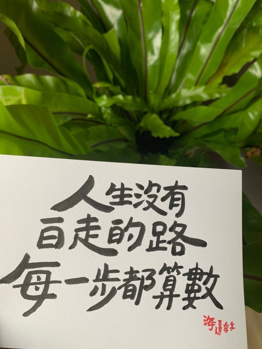 人生没有白走的路每一步都算数 / 文字书卡 - 卡片/明信片 - 纸 白色
