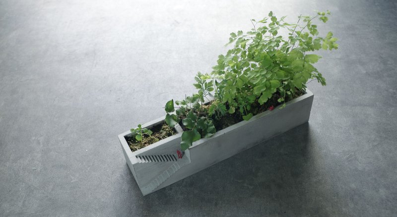 第陆号作品_The Stair_水泥/盆器/花盆 - 植栽/盆栽 - 水泥 灰色