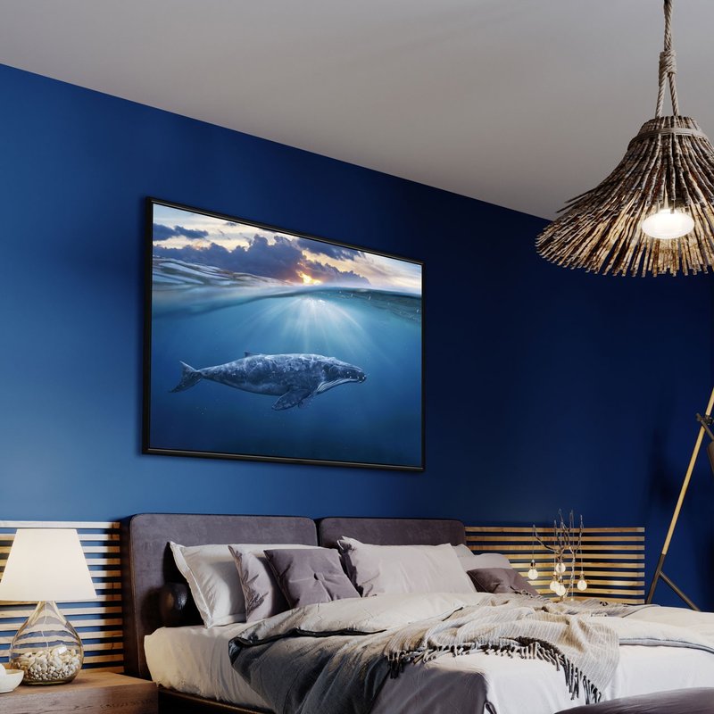 洋流下的座头鲸 - 海洋/大自然/大海/蓝色/鲸鱼/生态/座头鲸 - 海报/装饰画/版画 - 其他材质 多色