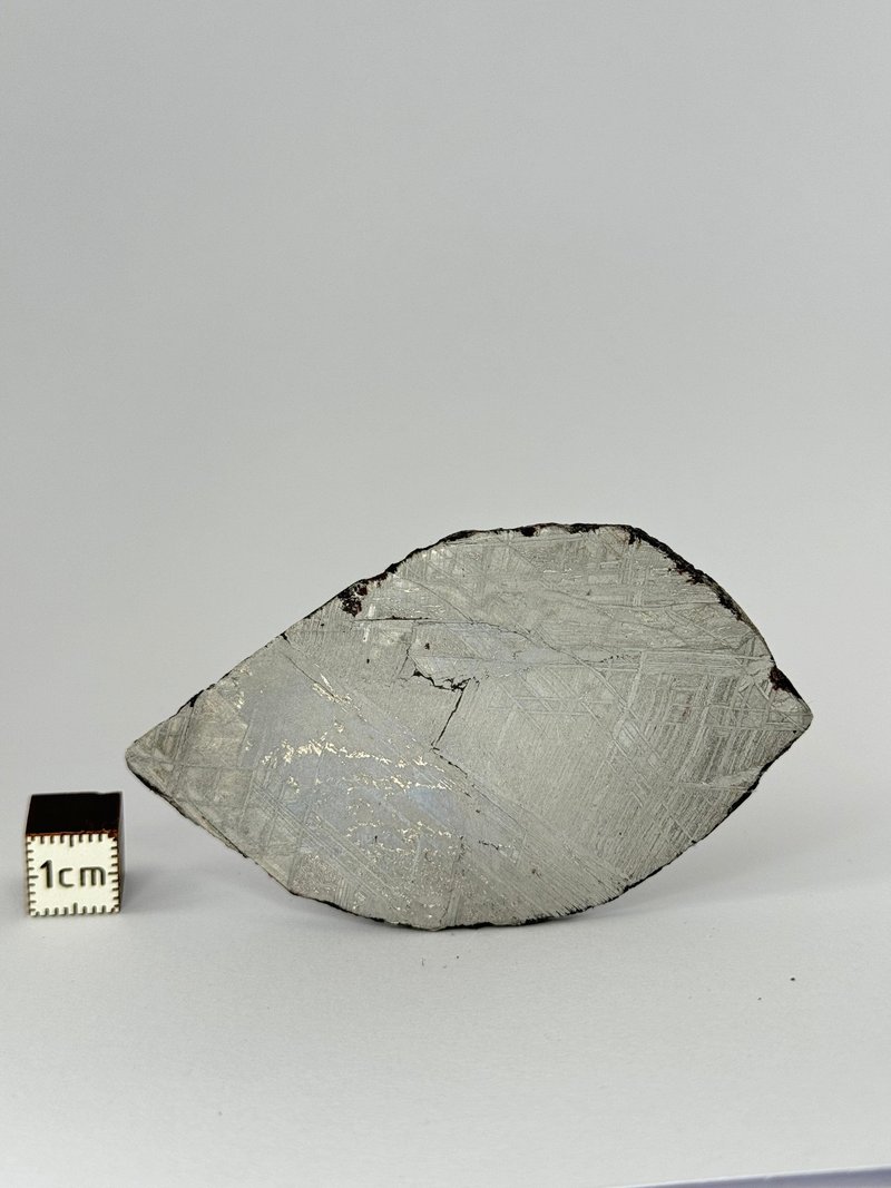 Muonionalusta陨石 瑞典。53.93克切片。 - 摆饰 - 其他材质 