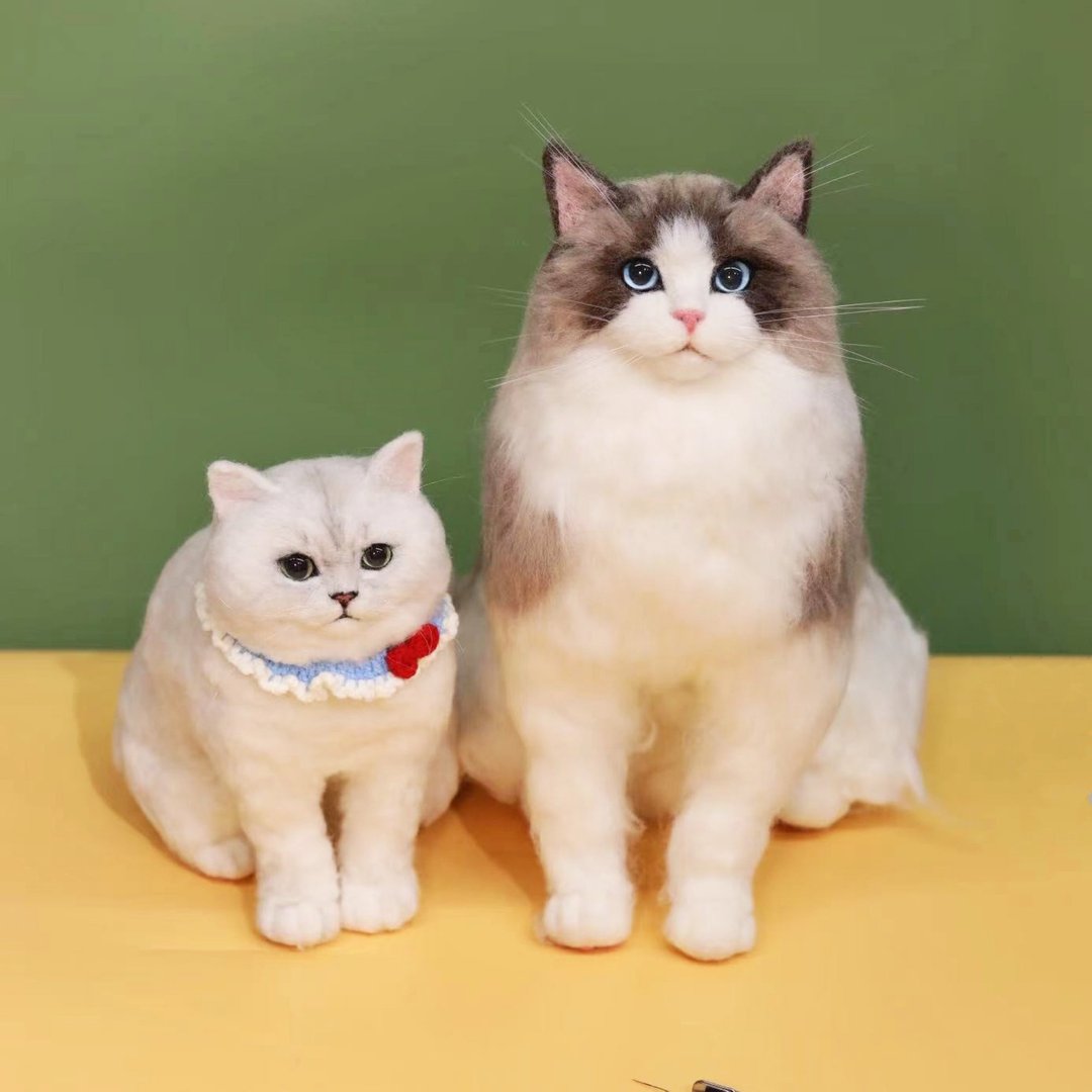 定制化礼物 逼真猫猫 羊毛毡 毛孩 宠物 娃娃 猫咪猫奴 似颜绘 a3 - 玩具 - 羊毛 多色