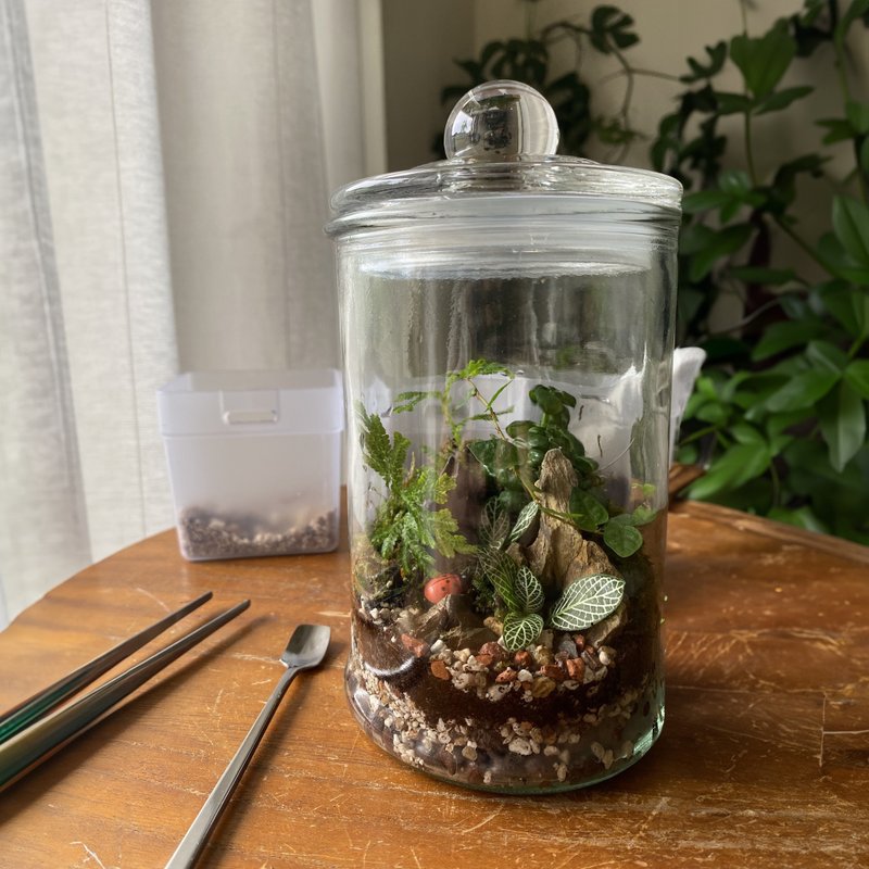 在线课程材料包_野地风格微景观生态瓶 - 植栽 - 植物．花 