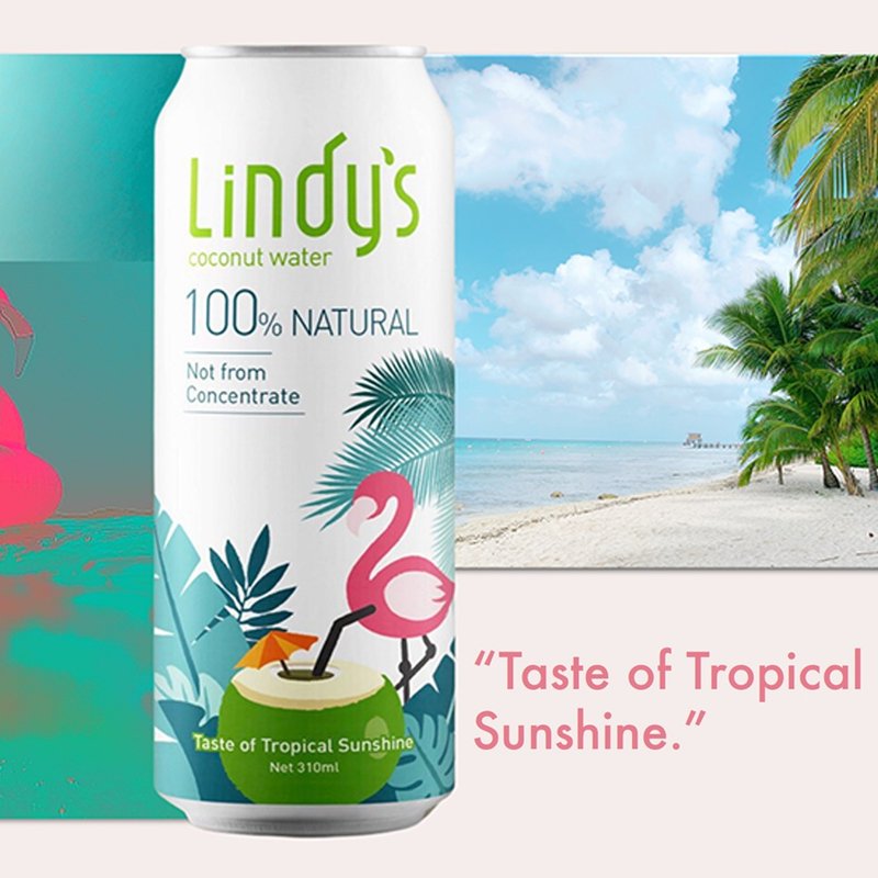 【泰国 Lindys】100%原味椰子水*24入 - 果汁/蔬果汁 - 其他材质 