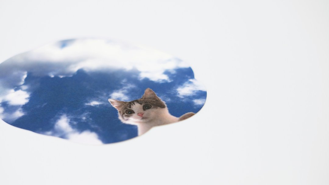 Puddle coaster / cat & green / 5 sets of 2 types - 杯垫 - 纸 