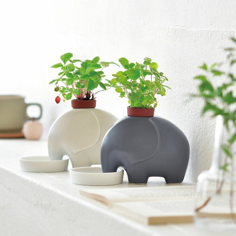 【无印风】elephant 濑户烧大象陶盆种植组 - 植栽/盆栽 - 陶 灰色